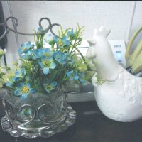 ジャムディッシュ