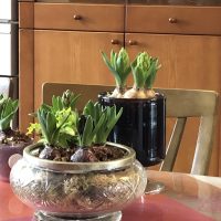 プレスドグラス