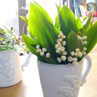 テーブルウェア