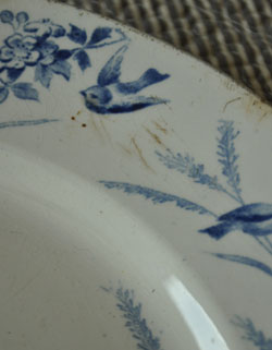 アンティーク 陶磁器の雑貨　アンティーク雑貨　クレイユ・エ・モントロー（Creil et Montereau）のアンティーク食器、ディッシュプレート（23cm）。鳥とお花が美しいブルーで描かれています。(m-1044-z)