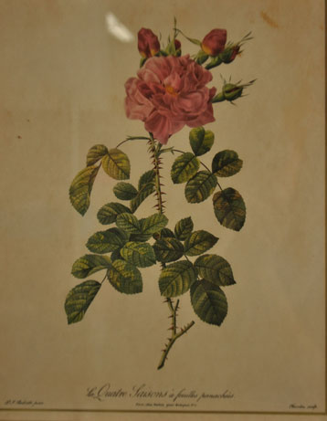 アンティークフレーム ルドゥーテ 「Quatre Taisons feuilles