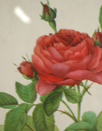 m-995-zアンティークフレームのアップ