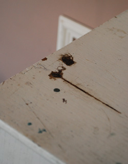 d-842-f アンティーク スモール キャビネット