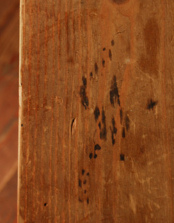 どこに置いてもカッコイイ
整理整頓のクセがついてしまうドロワーズ