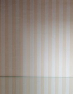 j-1130-f アンティークブックケースの背板