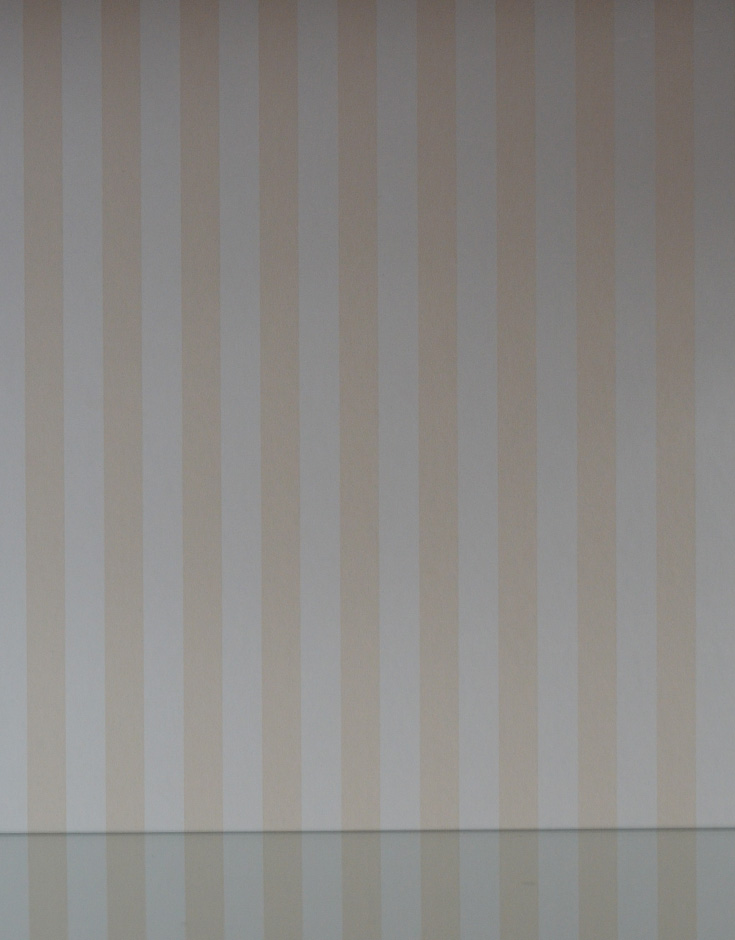 j-1277-f アンティークガラスキャビネットの背板