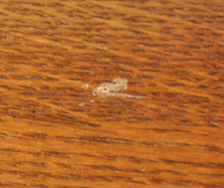 j-738-f アンティークキャビネット