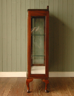 私のお家がギャラリーに変身！美しいガラスのキャビネット