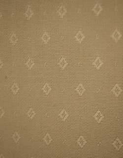 私のお家がギャラリーに変身！美しいガラスのキャビネット