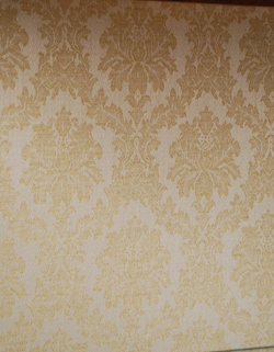 私のお家がギャラリーに変身！美しいガラスのキャビネット