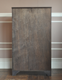 私のお家がギャラリーに変身！美しいガラスのキャビネット