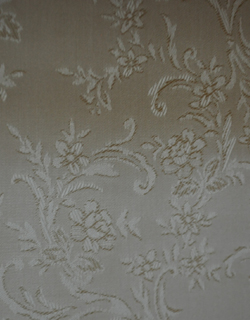 私のお家がギャラリーに変身！美しいガラスのキャビネット