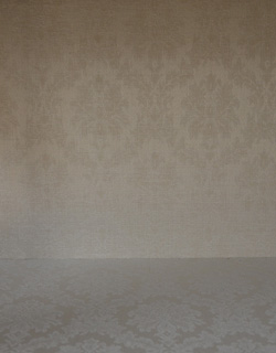 q-302-f アンティークガラスキャビネットの扉内