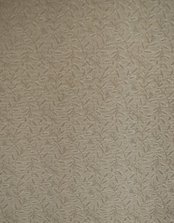 q-308-f アンティークガラスキャビネットの背板