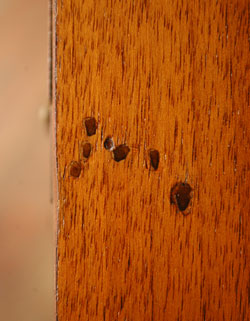 アンティークショーケース