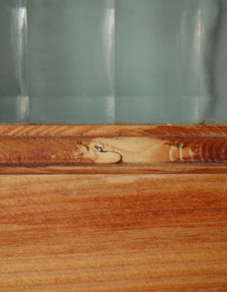 リプロダクションのドア