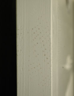 爽やかなステンドグラス付きホワイトペイントのアンティークドア