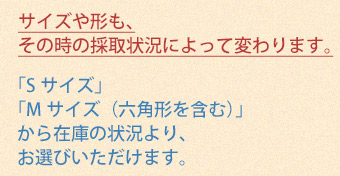 HOT-04 アンティークテラコッタタイルSサイズポイント5-1