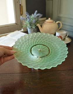 pg-2422ヴァセリングラの手